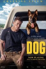 dog 2022.jpg dog 2022.jpg