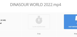Screenshot 2022-05-26 at 08-19-43 DINASOUR WORLD 2022.mp4 - Hbit Storage.png