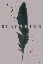 Black Bird 2022.jpg Black Bird 2022.jpg
