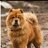 teddy056